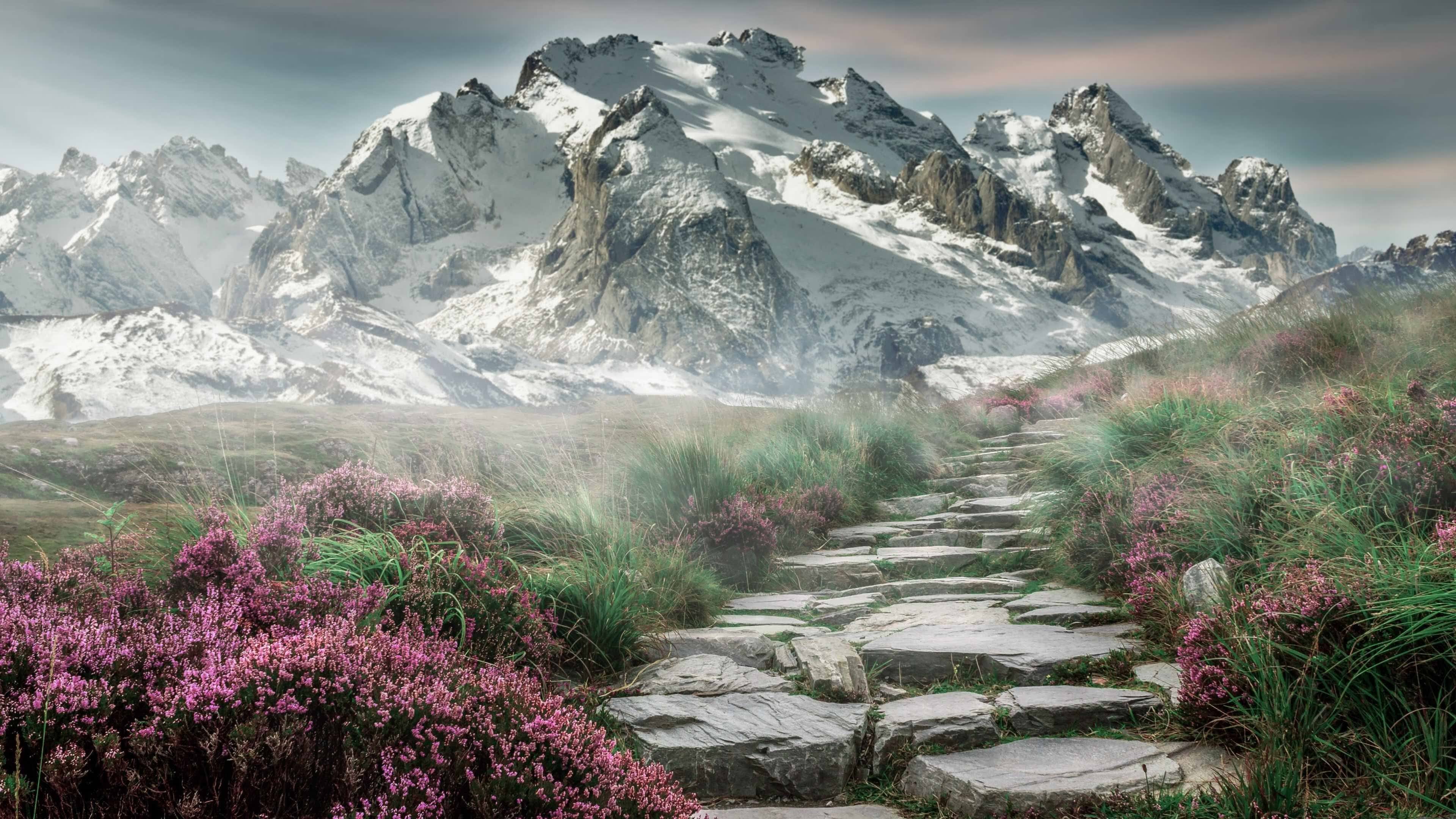 v7.2.5 版本更新，2026年6月4日，智能效率与安全防护的全面跃升